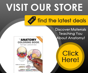 Human Anatomy Courses